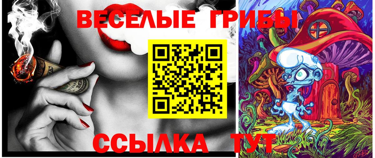 Каменск-Уральский  Псилоцибиновые грибы Psilocybe  Вход с VPN 